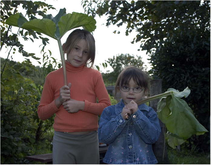 Les Enfants