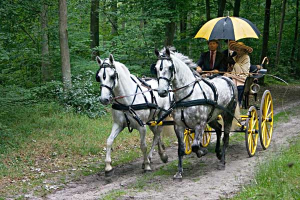 paraplluie jaune