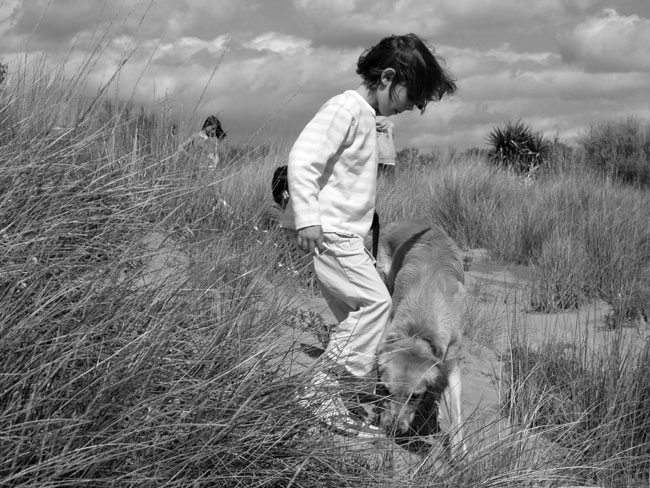 Promenade dans les dunes