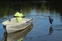 a la pche au poisson mort du a une forte chaleurs  29-06-2015 - prs-sous-la-villes-sarcelles